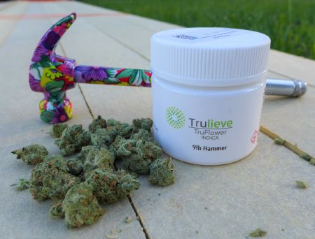 9lb Hammer by&nbsp;Trulieve