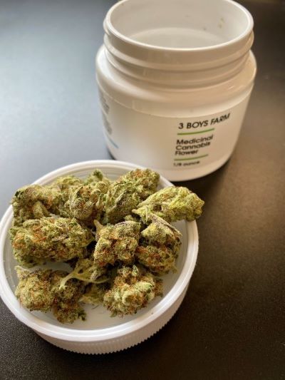 Ebony & Ivory by One&nbsp;Plant