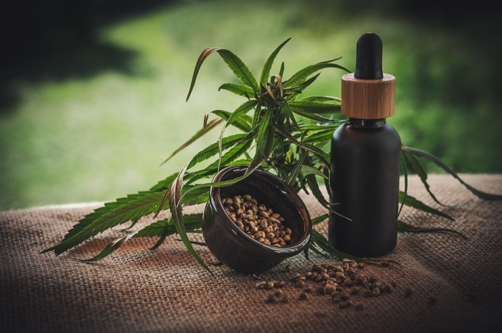 CBD – Everything you Need to&nbsp;Know