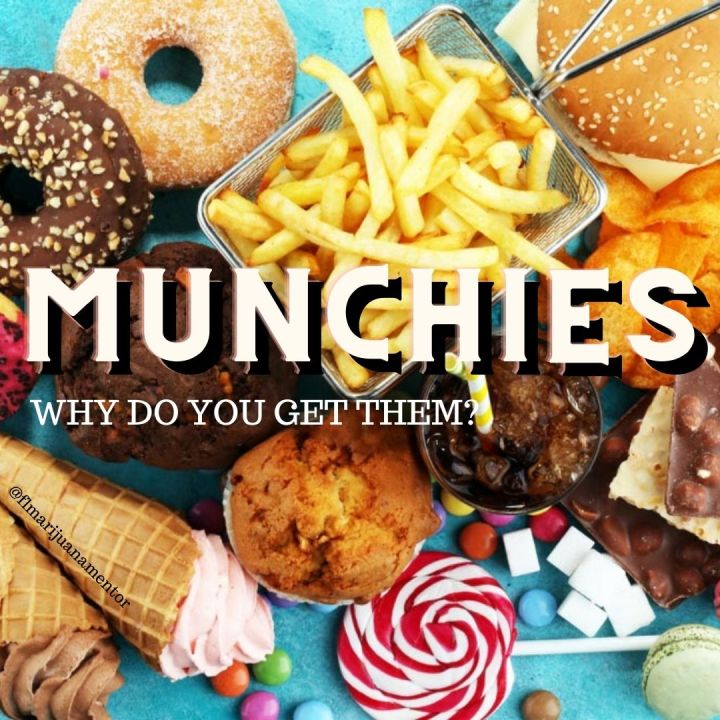 Why Do I get the Munchies?